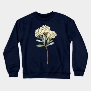 Floral Sprig Crewneck Sweatshirt